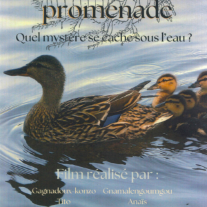 La dernière promenade