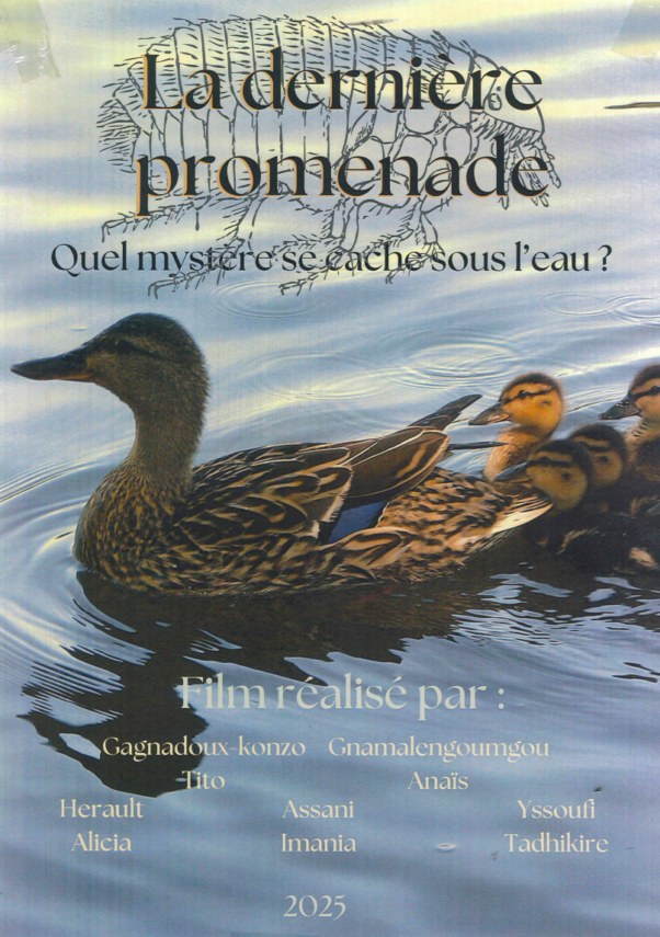 La dernière promenade