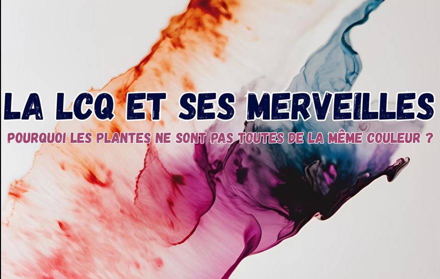 La LCQ et ses merveilles