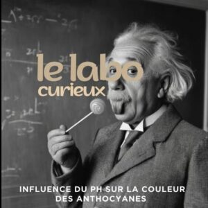Le Labo curieux