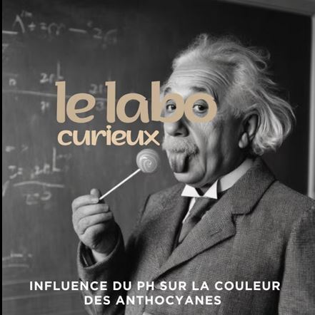 Le Labo curieux